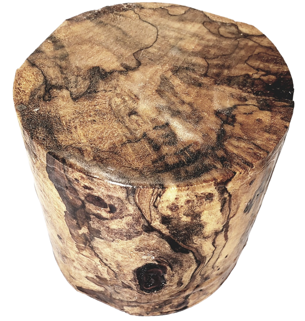 Spalted Silver Maple Burl Bowl Blank 4